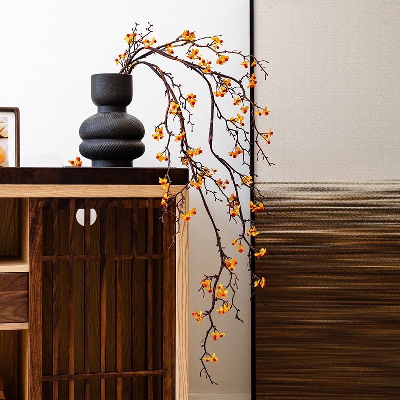 Celastrus Orbiculatus